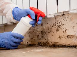 Why You Should Choose Our Mold Remediation Services in Roberta, GA